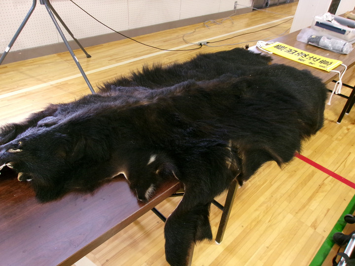 毛野南小学校 : クマレクチャー