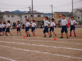 P5241677