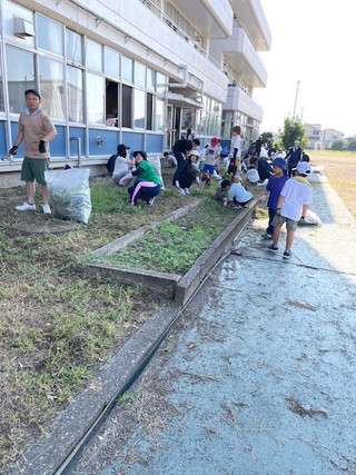 Image1